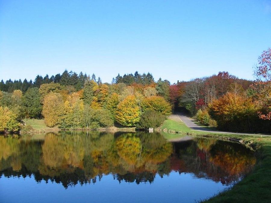 L'Étape en Forêt, photo 6