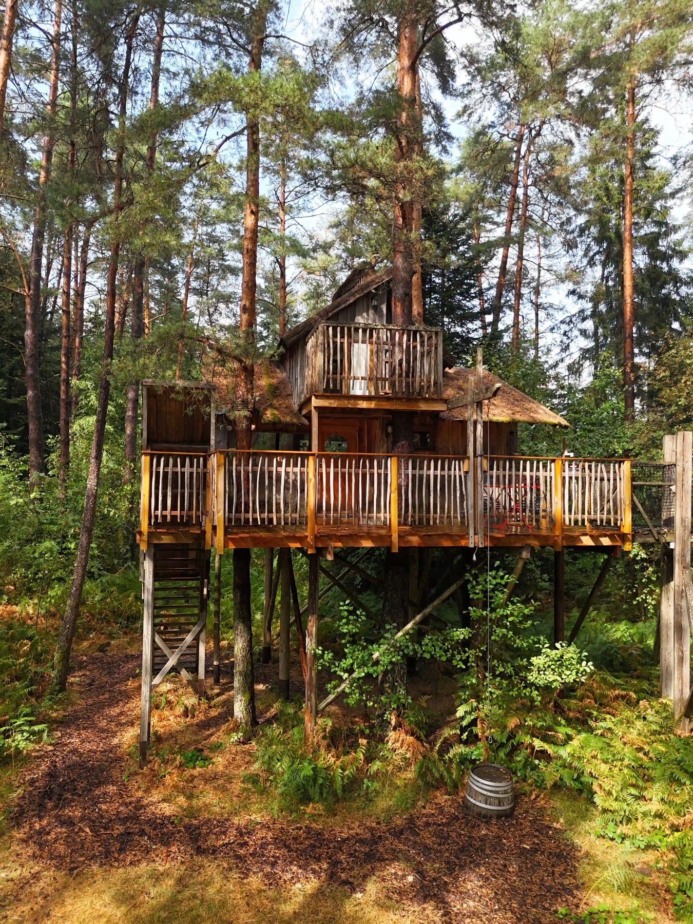 Cabanes Nids des Vosges