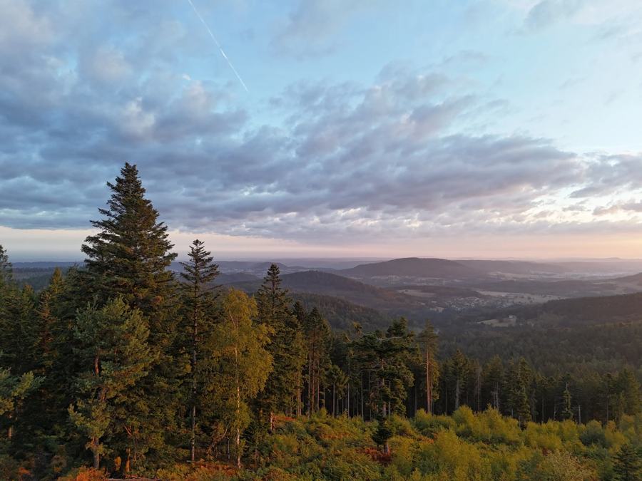Cabanes Nids des Vosges, photo 6